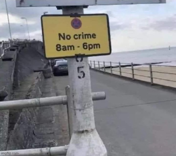 No crime allowed | image tagged in no crime allowed | made w/ Imgflip meme maker