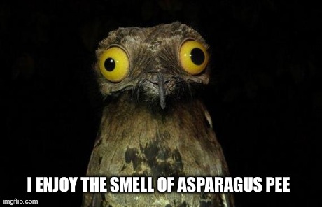 Weird Stuff I Do Potoo | I ENJOY THE SMELL OF ASPARAGUS PEE | image tagged in memes,weird stuff i do potoo | made w/ Imgflip meme maker