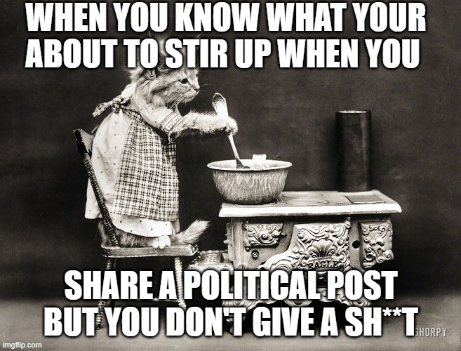 Stirring the pot | WHEN YOU KNOW WHAT YOUR ABOUT TO STIR UP WHEN YOU; SHARE A POLITICAL POST BUT YOU DON'T GIVE A SH**T | image tagged in political,funny,joke,cat | made w/ Imgflip meme maker