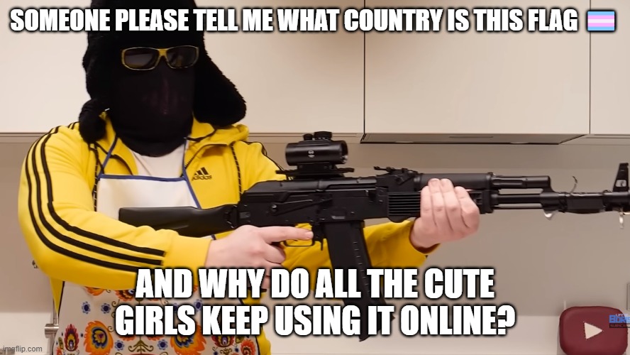 YES I KNOW VERY WELL WHAT IT MEANS | SOMEONE PLEASE TELL ME WHAT COUNTRY IS THIS FLAG 🏳️‍⚧️; AND WHY DO ALL THE CUTE GIRLS KEEP USING IT ONLINE? | image tagged in life of boris with gun | made w/ Imgflip meme maker