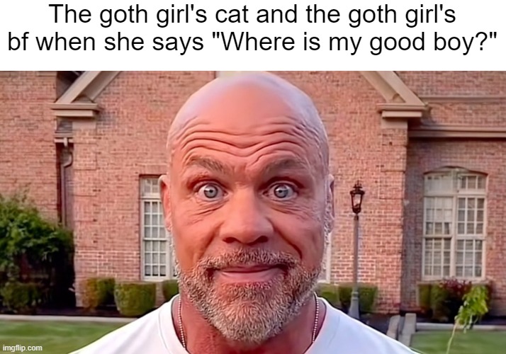 Same phrase, COMEPLETLY DIFFERENT MEANINGS | The goth girl's cat and the goth girl's bf when she says "Where is my good boy?" | image tagged in kurt angle stare | made w/ Imgflip meme maker
