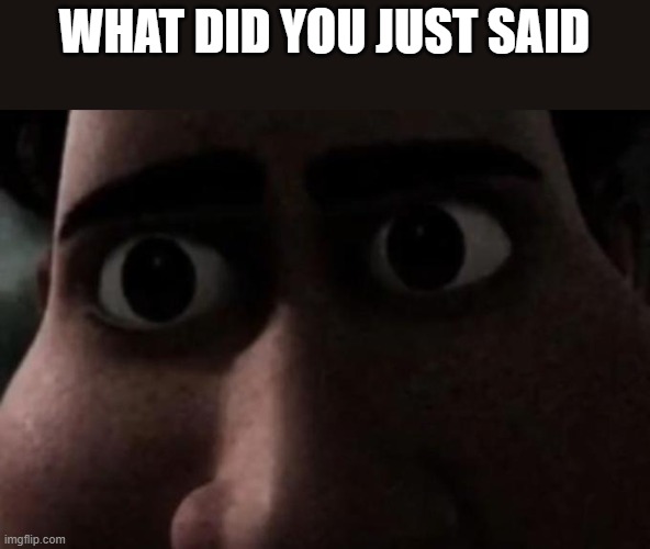 Titan stare | WHAT DID YOU JUST SAID | image tagged in titan stare | made w/ Imgflip meme maker