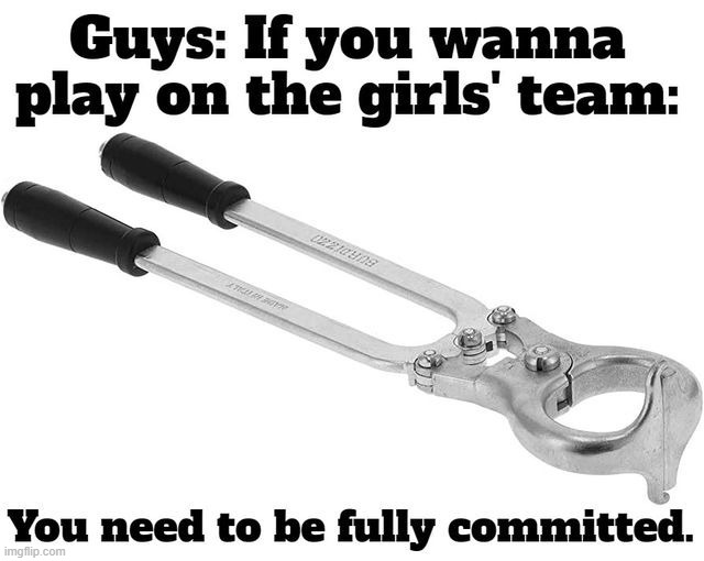 Speaking of Tool Time: Here's the Great Equalizer | image tagged in tool time,tools,tired of hearing about transgenders,castration,castration station,gender equality | made w/ Imgflip meme maker