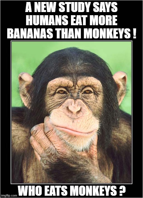I Might Have Misread This ! | A NEW STUDY SAYS HUMANS EAT MORE BANANAS THAN MONKEYS ! WHO EATS MONKEYS ? | image tagged in monkeys,bananas,survey,play on words | made w/ Imgflip meme maker