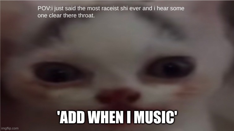 cat | 'ADD WHEN I MUSIC' | image tagged in cats,cat,funny,memes | made w/ Imgflip meme maker