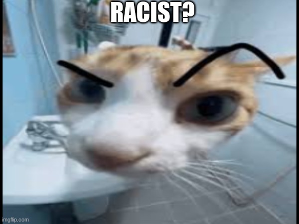 RACIST? | image tagged in funny | made w/ Imgflip meme maker