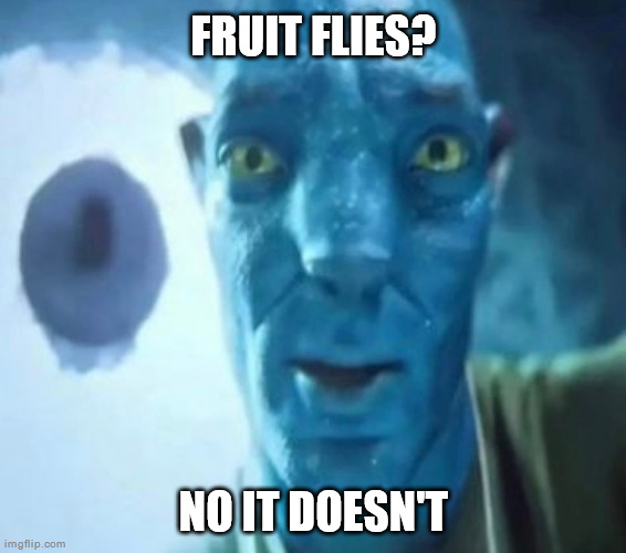 Avatar guy | FRUIT FLIES? NO IT DOESN'T | image tagged in avatar guy | made w/ Imgflip meme maker