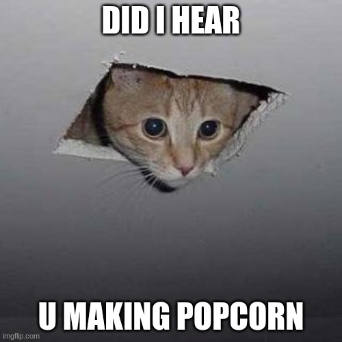 Ceiling Cat | DID I HEAR; U MAKING POPCORN | image tagged in memes,ceiling cat | made w/ Imgflip meme maker