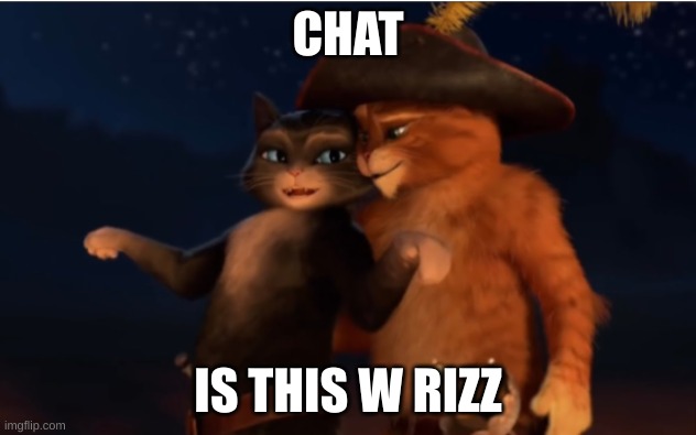 CHAT; IS THIS W RIZZ | image tagged in puss in boots,memes,funny | made w/ Imgflip meme maker