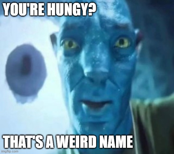 Avatar guy | YOU'RE HUNGY? THAT'S A WEIRD NAME | image tagged in avatar guy | made w/ Imgflip meme maker