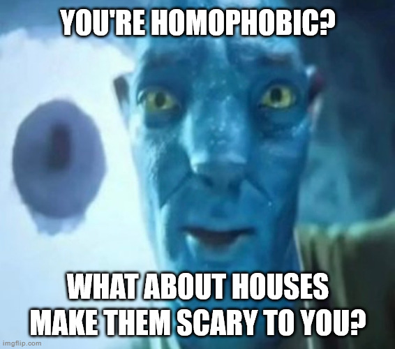 Avatar guy | YOU'RE HOMOPHOBIC? WHAT ABOUT HOUSES MAKE THEM SCARY TO YOU? | image tagged in avatar guy | made w/ Imgflip meme maker