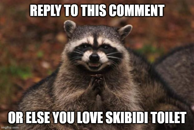 evil genius racoon | REPLY TO THIS COMMENT OR ELSE YOU LOVE SKIBIDI TOILET | image tagged in evil genius racoon | made w/ Imgflip meme maker