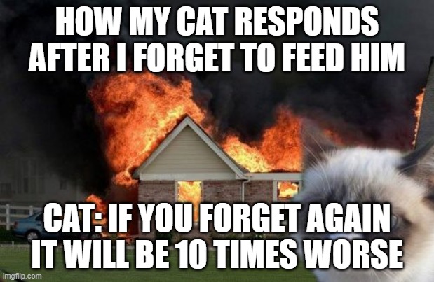 Don't forget to feed your cat | HOW MY CAT RESPONDS AFTER I FORGET TO FEED HIM; CAT: IF YOU FORGET AGAIN IT WILL BE 10 TIMES WORSE | image tagged in memes,burn kitty,grumpy cat,feed me,very hangry | made w/ Imgflip meme maker