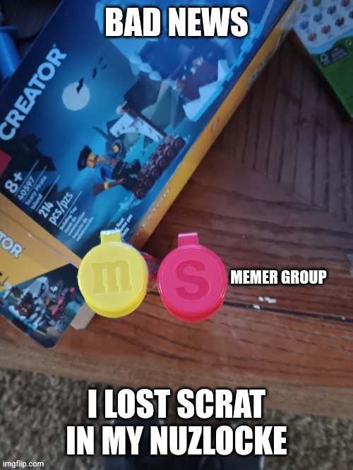 Thebest66 msmg | BAD NEWS; I LOST SCRAT IN MY NUZLOCKE | image tagged in thebest66 msmg | made w/ Imgflip meme maker