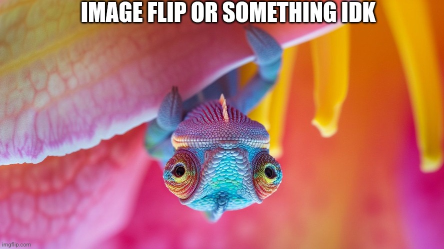 IMAGE FLIP OR SOMETHING IDK | image tagged in imgflip | made w/ Imgflip meme maker
