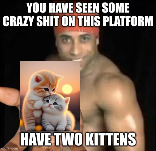 Ricardo milos | YOU HAVE SEEN SOME CRAZY SHIT ON THIS PLATFORM; HAVE TWO KITTENS | image tagged in ricardo milos | made w/ Imgflip meme maker