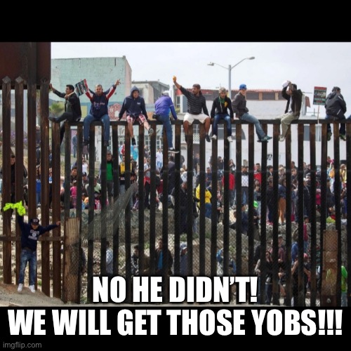 Illegal border crossing aliens | NO HE DIDN’T!
WE WILL GET THOSE YOBS!!! | image tagged in illegal border crossing aliens | made w/ Imgflip meme maker