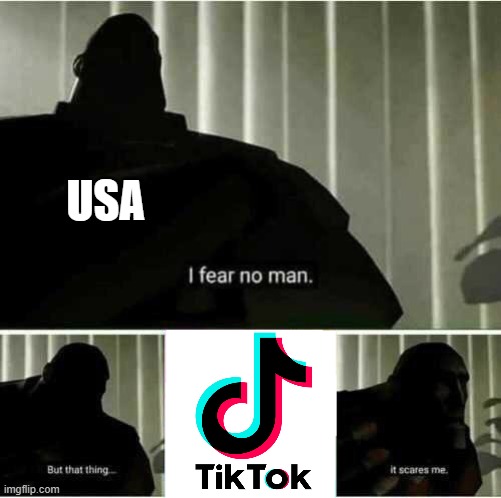 TikTok must be destroyed!!! | USA | image tagged in i fear no man,tiktok sucks,dank memes,usa | made w/ Imgflip meme maker