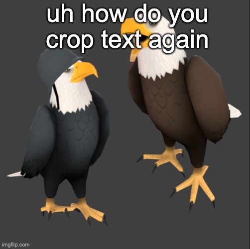 tf2 eagles | uh how do you crop text again | image tagged in tf2 eagles | made w/ Imgflip meme maker