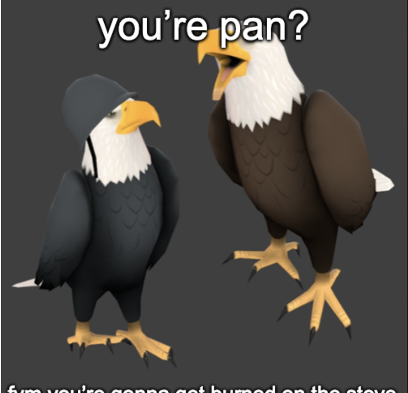 pan joke Blank Meme Template