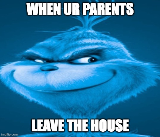 The blue grinch | WHEN UR PARENTS; LEAVE THE HOUSE | image tagged in the blue grinch | made w/ Imgflip meme maker