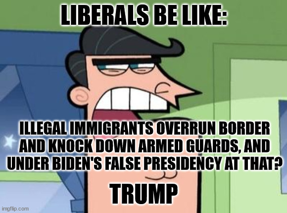 Dinkleberg | LIBERALS BE LIKE:; ILLEGAL IMMIGRANTS OVERRUN BORDER AND KNOCK DOWN ARMED GUARDS, AND UNDER BIDEN'S FALSE PRESIDENCY AT THAT? TRUMP | image tagged in dinkleberg | made w/ Imgflip meme maker