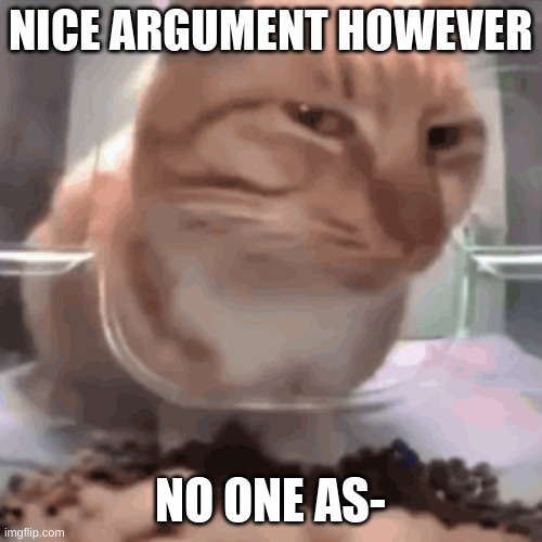 NICE ARGUMENT HOWEVER NO ONE AS- | made w/ Imgflip meme maker