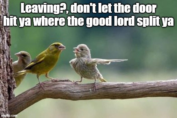 Get Lost! | Leaving?, don't let the door hit ya where the good lord split ya | image tagged in pack your things we're leaving | made w/ Imgflip meme maker
