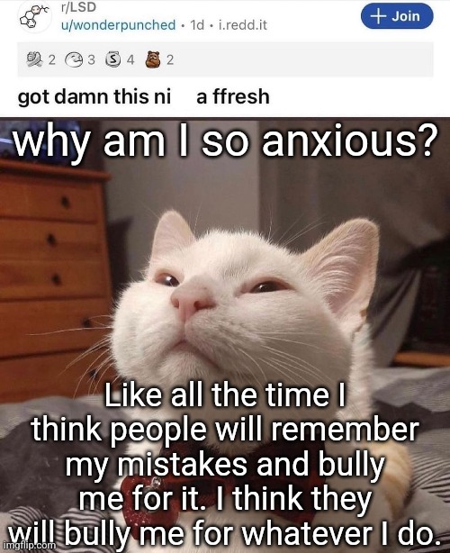 :( | why am I so anxious? Like all the time I think people will remember my mistakes and bully me for it. I think they will bully me for whatever I do. | image tagged in lsd cat | made w/ Imgflip meme maker