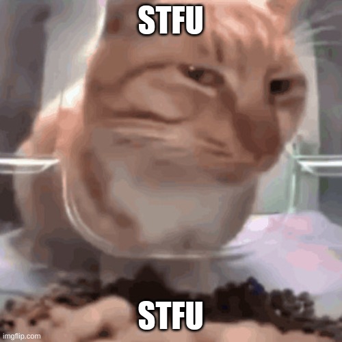 STFU STFU | made w/ Imgflip meme maker