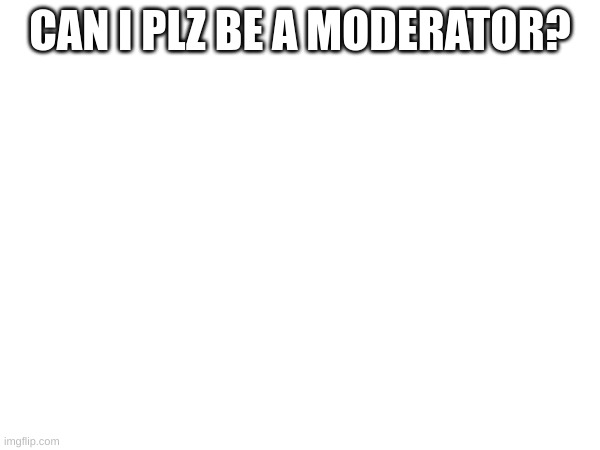 CAN I PLZ BE A MODERATOR? | made w/ Imgflip meme maker