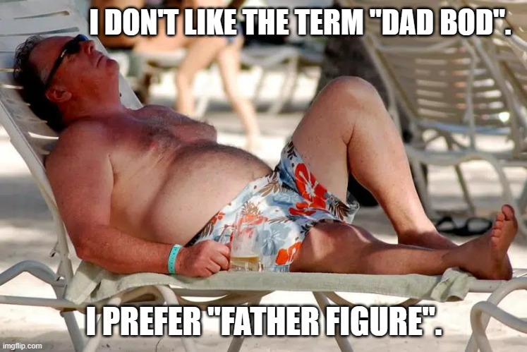 memes by Brad dad bod vs. father figure | I DON'T LIKE THE TERM "DAD BOD". I PREFER "FATHER FIGURE". | image tagged in fun,funny,father,funny meme,humor | made w/ Imgflip meme maker