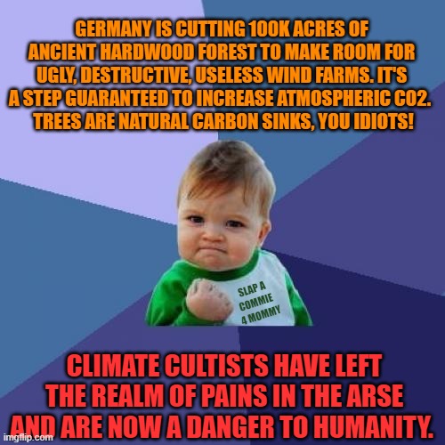 Success Kid | GERMANY IS CUTTING 100K ACRES OF ANCIENT HARDWOOD FOREST TO MAKE ROOM FOR UGLY, DESTRUCTIVE, USELESS WIND FARMS. IT'S A STEP GUARANTEED TO INCREASE ATMOSPHERIC C02. 
 TREES ARE NATURAL CARBON SINKS, YOU IDIOTS! SLAP A
COMMIE
 4 MOMMY; CLIMATE CULTISTS HAVE LEFT THE REALM OF PAINS IN THE ARSE AND ARE NOW A DANGER TO HUMANITY. | image tagged in memes,success kid | made w/ Imgflip meme maker