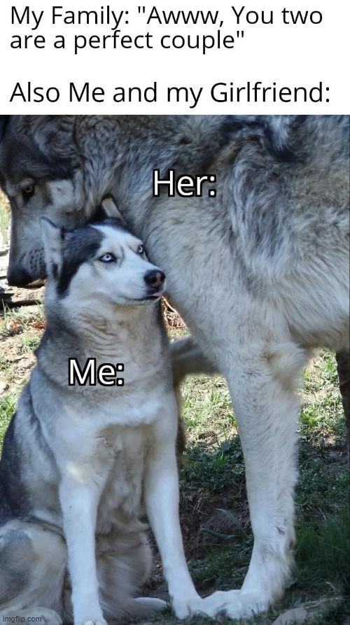 Dominant Girlfriend be like: | image tagged in memes,funny,relatable,girlfriend,lol | made w/ Imgflip meme maker