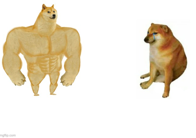 High Quality Perro Hercules Blank Meme Template