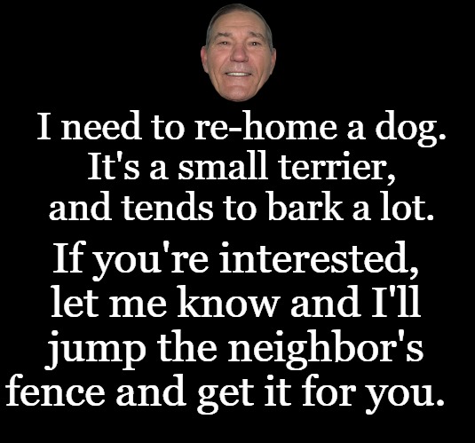 black screen | I need to re-home a dog.
It's a small terrier, and tends to bark a lot. If you're interested, let me know and I'll jump the neighbor's
fence and get it for you. | image tagged in black screen | made w/ Imgflip meme maker