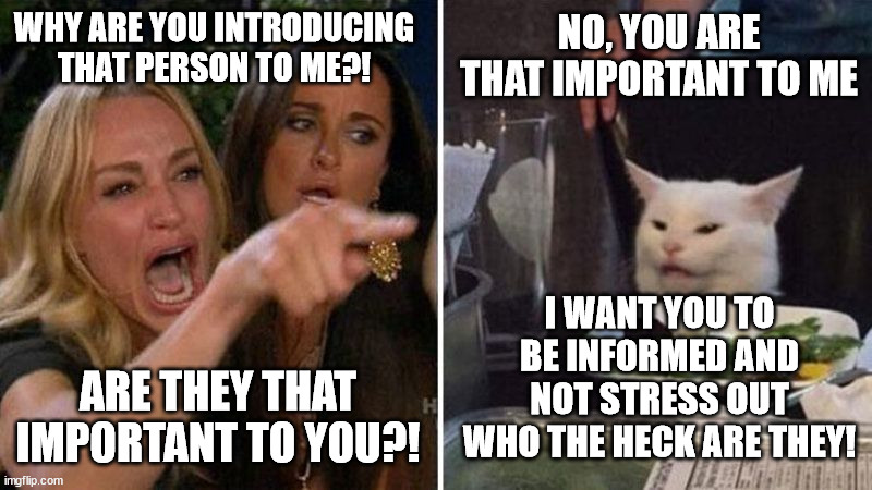 NO, YOU ARE THAT IMPORTANT TO ME; WHY ARE YOU INTRODUCING THAT PERSON TO ME?! ARE THEY THAT IMPORTANT TO YOU?! I WANT YOU TO BE INFORMED AND NOT STRESS OUT
WHO THE HECK ARE THEY! | made w/ Imgflip meme maker