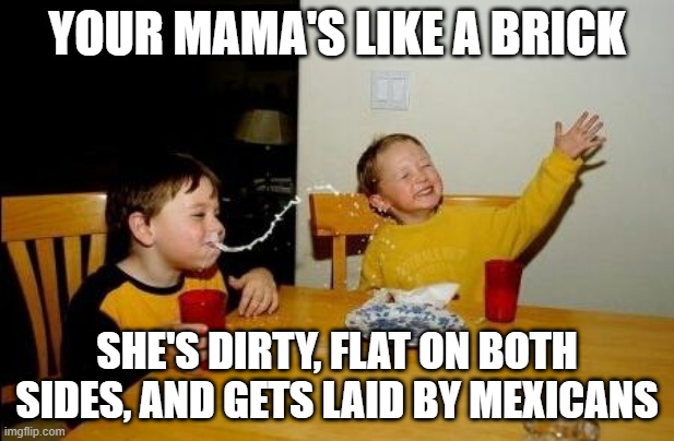 Brick Momma | YOUR MAMA'S LIKE A BRICK; SHE'S DIRTY, FLAT ON BOTH SIDES, AND GETS LAID BY MEXICANS | image tagged in yo momma so fat | made w/ Imgflip meme maker