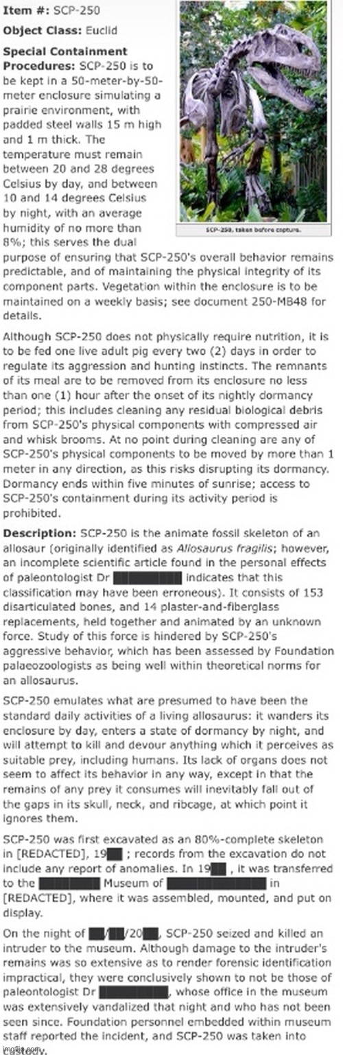 SCP-250 Document | image tagged in scp-250 document | made w/ Imgflip meme maker