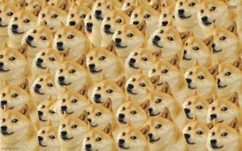Who let him have the gmod tool gun | image tagged in doge army | made w/ Imgflip meme maker
