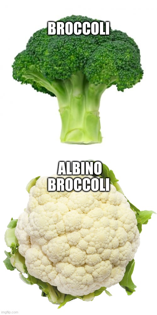 BROCILLI | BROCCOLI; ALBINO BROCCOLI | image tagged in brocilli | made w/ Imgflip meme maker