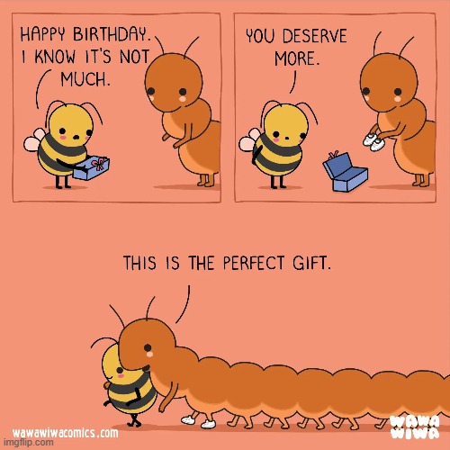 image tagged in bee,birthday,present,shoes,millipede | made w/ Imgflip meme maker