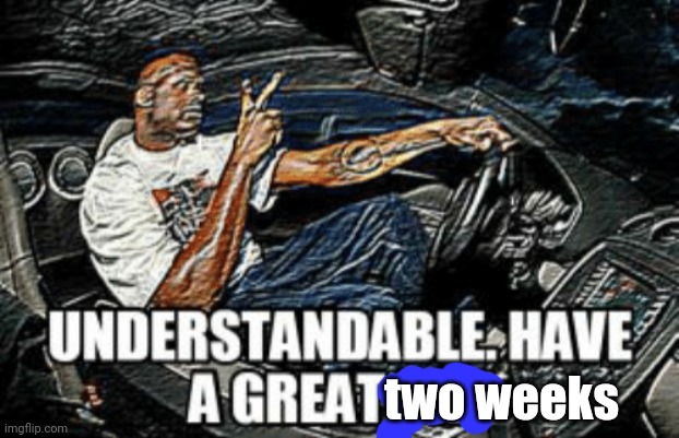 Understandable have a great day | two weeks | image tagged in understandable have a great day | made w/ Imgflip meme maker