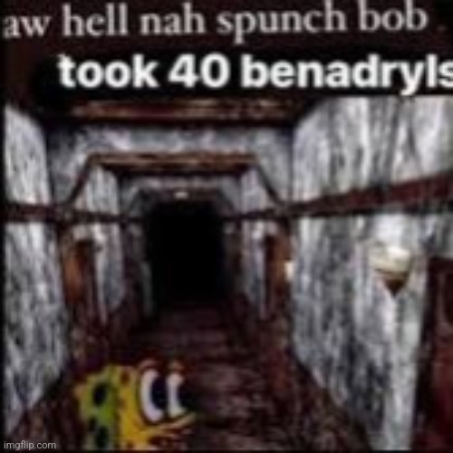 Aw hell nah spunch Bob took 40 benadryls | image tagged in funny,only in ohio,fun | made w/ Imgflip meme maker