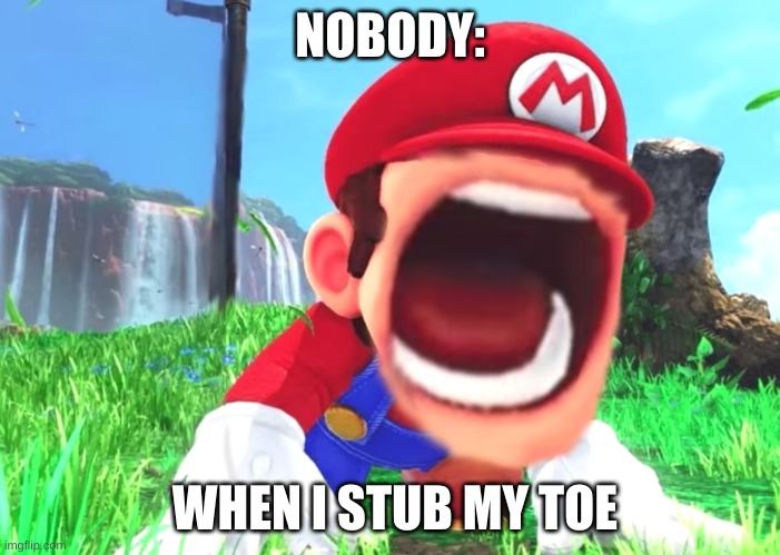 Mario screaming | NOBODY:; WHEN I STUB MY TOE | image tagged in mario screaming | made w/ Imgflip meme maker