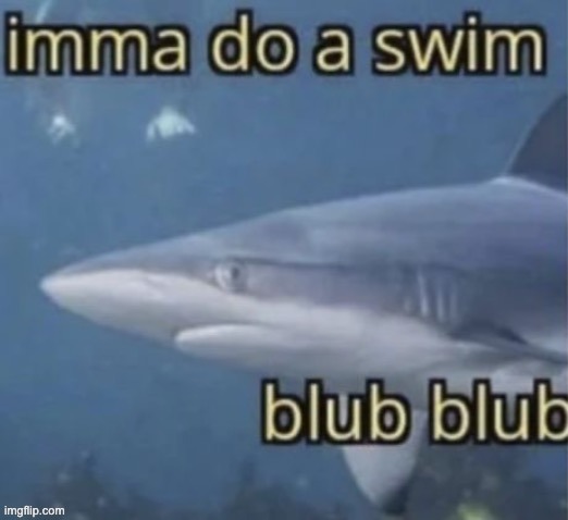 Imma do Swim | image tagged in imma do swim | made w/ Imgflip meme maker