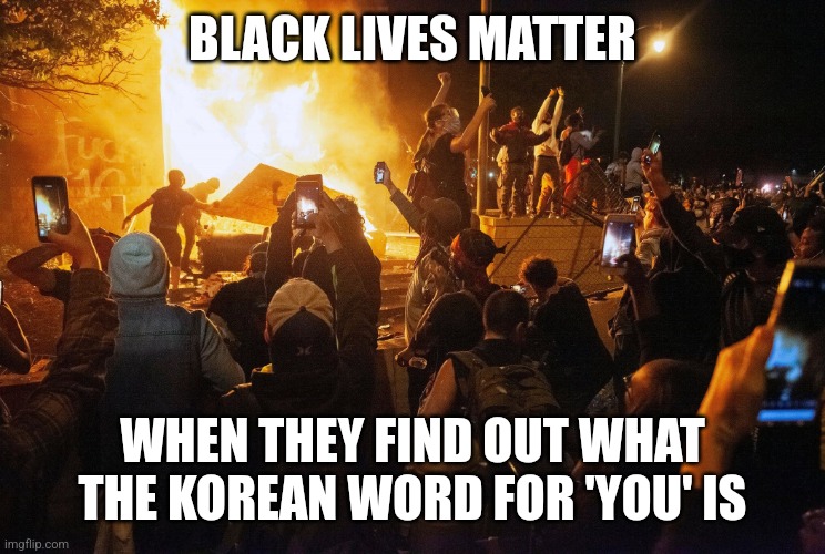 They would probably start riots over a certain Korean word | BLACK LIVES MATTER; WHEN THEY FIND OUT WHAT THE KOREAN WORD FOR 'YOU' IS | image tagged in black lives matter,the n word,riots,triggered,korean | made w/ Imgflip meme maker