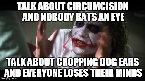 And everybody loses their minds | TALK ABOUT CIRCUMCISION AND NOBODY BATS AN EYE TALK ABOUT CROPPING DOG EARS AND EVERYONE LOSES THEIR MINDS | image tagged in memes,and everybody loses their minds,AdviceAnimals | made w/ Imgflip meme maker