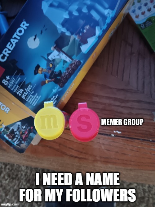 Thebest66 msmg | I NEED A NAME FOR MY FOLLOWERS | image tagged in thebest66 msmg | made w/ Imgflip meme maker