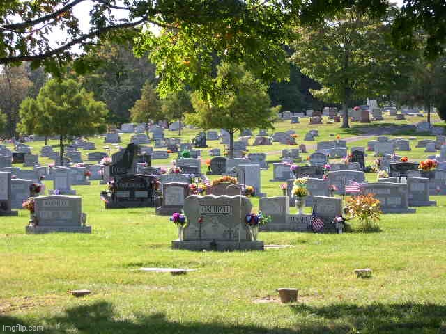 cemetery | image tagged in cemetery | made w/ Imgflip meme maker